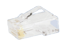 Panduit-結束バンド-CAT5Eモジュラープラグ